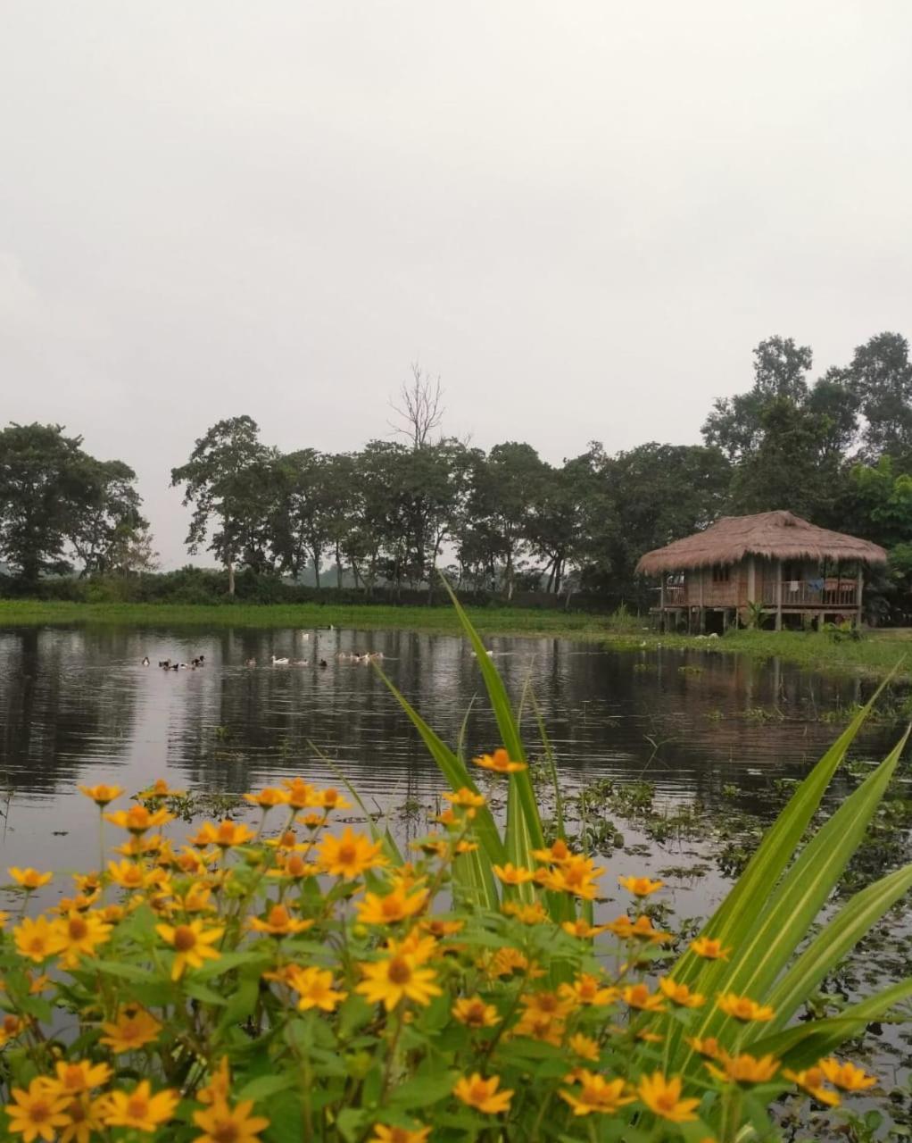 Yagdrasill Bamboo Cottage Bamungaon Exterior photo